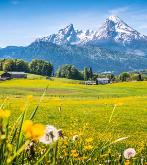 Sommerurlaub